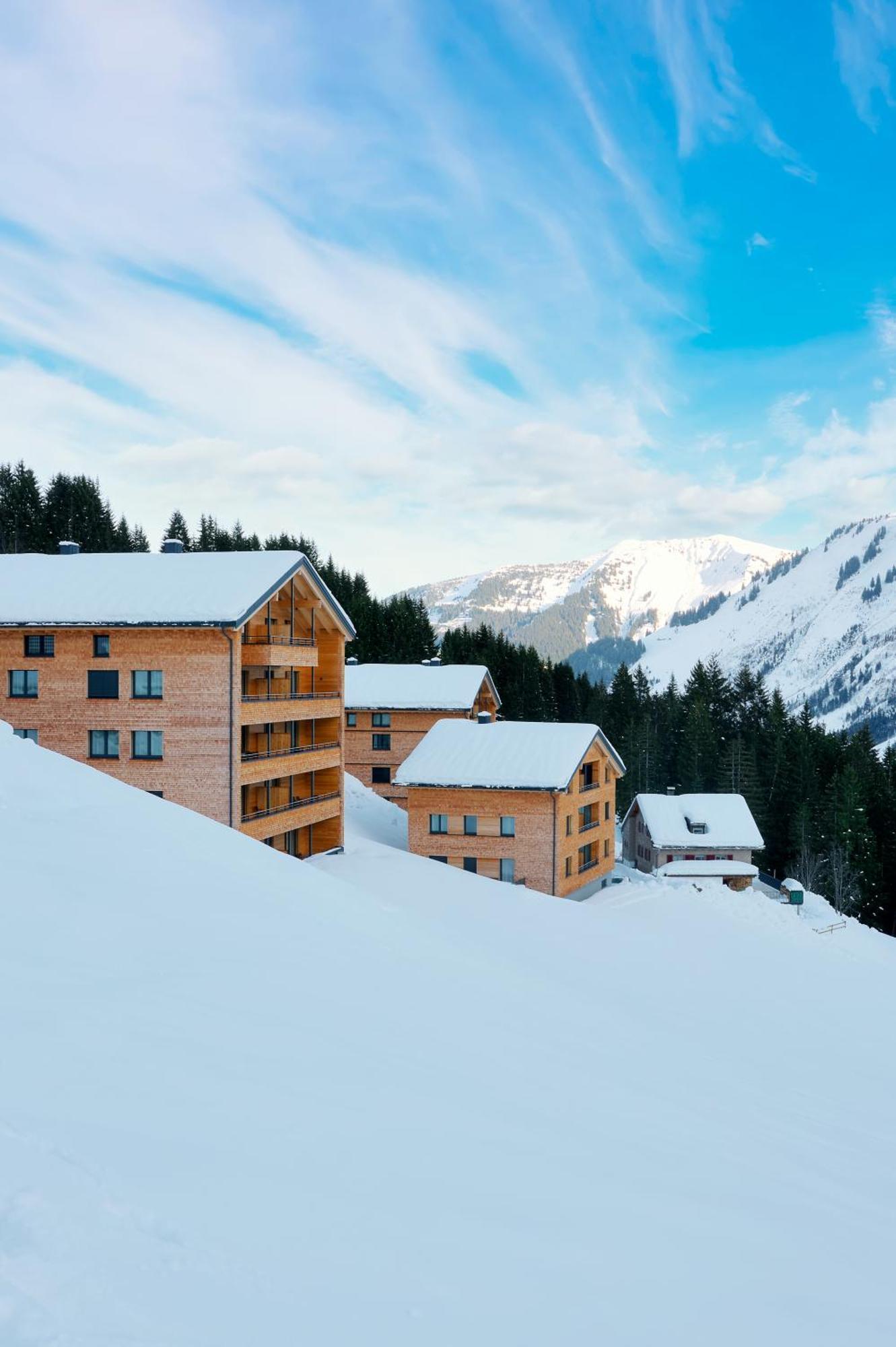 Apartamento Alpenstolz Damuels Haus 3 - Stilvoll Urlauben In Den Bergen Exterior foto